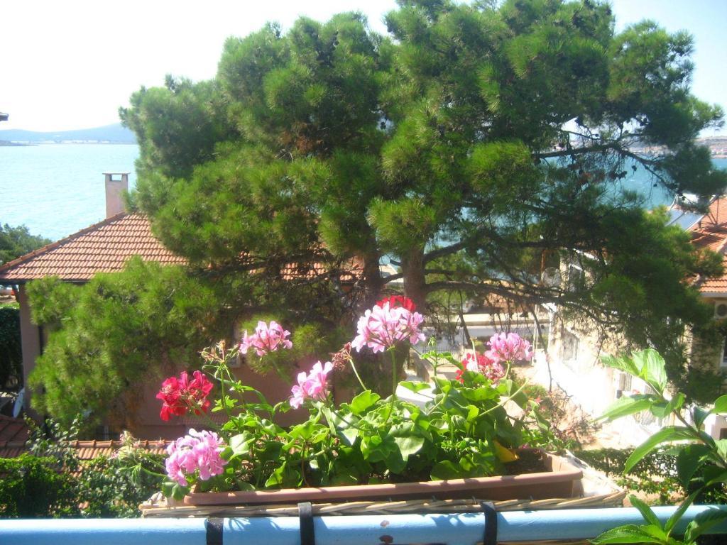 Hotel Mavi Pension Ayvalı Exteriér fotografie